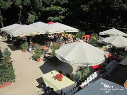 Beste/r/s schnitzel in dresden, sachsen: Catering Shop Grosser Garten