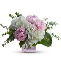 Maybe you would like to learn more about one of these? Pretty In Peony Batavia Ny Florist Same Day Flower Delivery For Any Occasion