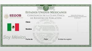 Cómo sacar la curp por internet. Como Consultar Mi Curp El Financiero
