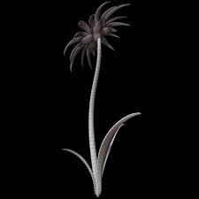 Daisy Flower Flora 3d Model Turbosquid 1580465 In 2020 Daisy Flower Beautiful Flowers Wallpapers 3d Model