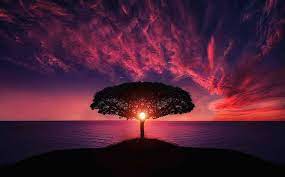 Check spelling or type a new query. 600 000 Best Nature Pictures Images In Hd