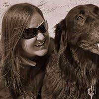 Summer Pony by Jean Slaughter Doty