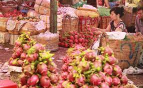 Theo các chủ hàng, hình thức kinh doanh này tiện lợi ở chỗ họ có thể chuyên chở trái cây đi về và không cần phải bày. Láº¥y Sá»‰ Trai Cay á»Ÿ Ä'au Ä'á»ƒ Kinh Doanh Hoa Quáº£ Trai Cay Hiá»‡u Quáº£