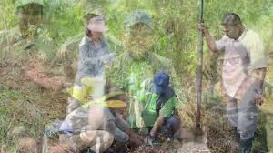 Pejabat daerah dan tanah sabak bernam. Laman Rasmi Jabatan Perhutanan Negeri Selangor Home Facebook