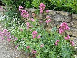 Valeriane Des Jardins Jardins Creation Jardin