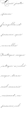 To help ease the invitation design process, we've rounded up 18 fonts that communicate volumes when used in any wedding design. Wedding Script Font By Blessed Print Creative Fabrica