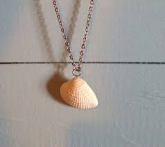 Your options might seem limited when you don't have an electric drill handy, but you can. Diy Seashell Necklace No Drilling Needed Diy Seashell Necklace Seashell Necklace Seashell Necklace Diy