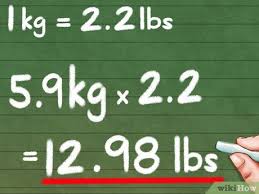12.4 kilograms equals 27.34 pounds: How To Convert Kilograms To Pounds 8 Steps With Pictures