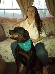 Unfortunately, sometimes the first and only sign of hemangiosarcoma is the dog's sudden death. What S Killing Our Dogs A Dog S Tale Of Splenic Hemangiosarcoma Hubpages