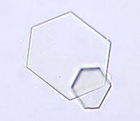 Pin On Mt And Lab Science