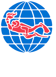 Professional Association Of Diving Instructors Padi