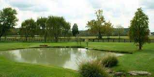 You Ll Never Believe Which Celebrity Might Be Moving To Leiper S Fork Justin Timberlake Music Row Nashville Great Places