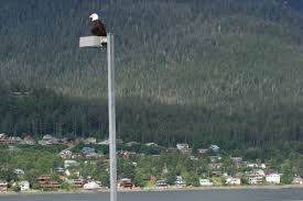 Check spelling or type a new query. Juneau Alaska Small Capital With Big Adventures Spirit Of The West Magazine