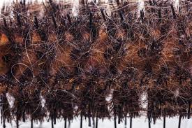 ふぶき姫 エロ 妖怪ウォッチふぶき姫の高クオリティなエロ画像まとめ にじエロファンタジアでは高クオリティな二次エロ画像動画を配信中 妖怪ウォッチに登場するふぶき姫のエロ画像エロイラストまとめです  キャラ別作品別にエッチで抜ける中出しエロ画像やおまんこ画像 ...