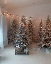 The warditv 2021 is an online tournament organized by warditv and sponsored by one of his viewers irvnasty. 640 Christmas Mini Sessions Ideas In 2021 Christmas Mini Sessions Christmas Minis Christmas Photography