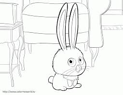 The secret life of pets coloring book. Snowball The Secret Life Of Pets Coloring Page Coloring Home