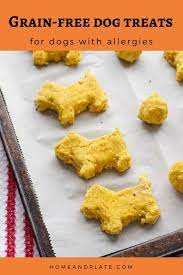 Dog Treat Recipe For Dogs With Allergies Grain Free Home Plate Recipe Grain Free Dog Treats Recipes Dog Treats Grain Free Dog Biscuit Recipes