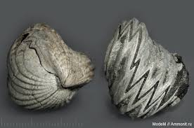 Not all cacti types produce flowers. A Large Suggestion Fossil Structures New Creatures And Possibly A New Dimension Suggestions Minecraft Java Edition Minecraft Forum Minecraft Forum