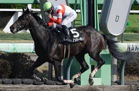 News source: JRA-VAN World