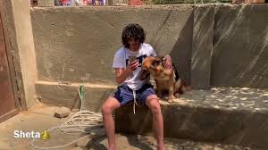 صوت يا عبيط تحميل واستماع mp3 mp4 Hassan Sheta Youtube Channel Analytics And Report Powered By Noxinfluencer Mobile