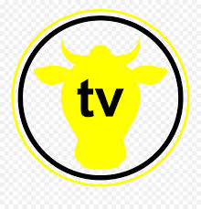 Dwa lata temu, wiadomość ta, była tym bardziej przejmująca, że dziennikarka dowiedziała się o chorobie, podczas gdy była w ciąży. Google Chromecast Tv Channel Tvn Style Png Chromecast Logo Free Transparent Png Images Pngaaa Com