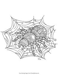 Select from 35870 printable coloring pages of cartoons, animals, nature, bible and many more. Spider On Web Coloring Page Free Printable Pdf From Primarygames