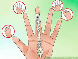 How To Read A Hand Reflexology Chart 8 Steps With Pictures