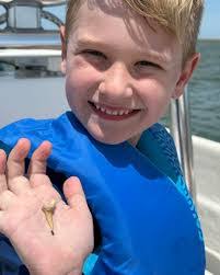 Anne Wasser's Instagram, Twitter & Facebook