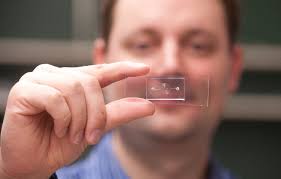 University of Louisville researchers develop freeze-dried blood