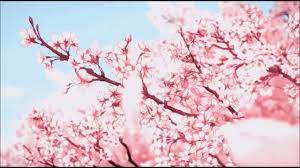 Download this premium vector about sakura tree background, and discover more than 14 million professional graphic resources on freepik. Neptoner Cherry Blossom Official Audio Youtube
