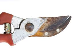 Replace the anode rod in your water heater, which attracts corrosive elements in water. Can You Renew Rusty Garden Tools Cleaning Rust On Garden Tools