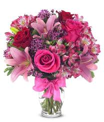 Beautiful purple and pink rose flower. Love Flowers Romantic Flowers Fromyouflowers