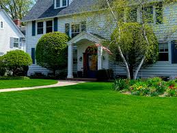 Get quotes and book instantly. The Greener Side Lawn Care Papillion And Omaha Ne
