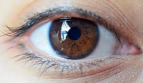 The World S Population By Eye Color Percentages Worldatlas Com Light Blue Eyes Violet Eyes Eye Color