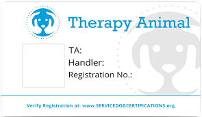 You will receive your dog license within two to four weeks after payment is processed. How To Register Your Dog As A Therapy Dog