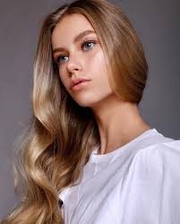 Lillian Fogel Makeup Artist