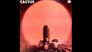 Airport coach cruise cyclist ferry helicopter motorway petrol station roundabout traffic lights. Cactus Let Me Swim Youtube
