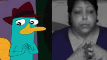 Perry The Platypus Meme GIFs