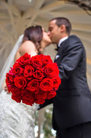 Maybe you would like to learn more about one of these? Affordable Wedding Photography San Diego Wedding Photographer Orange County Los Angeles