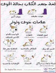 لغة جسد الكلاب بحالة الخوف Science Art Infographic Science