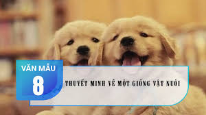 Dựa vào các tiêu thức phân loại nhất đinh mà ta chia được thành các loại giá thành khác nhau. Top 3 Bai VÄƒn Thuyáº¿t Minh Vá» Má»™t Giá»'ng Váº­t Nuoi Ngáº¯n Nháº¥t