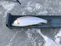 Dolberg lake is a lake in alberta and has an elevation of 757 metres. First Ice 2019 Black Nugget Lake String Theory Angling