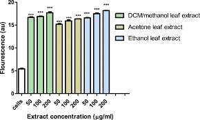 Image result for Triumfetta welwitschii