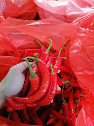 Ia mengeluarkan bunga kecil yang bertukar menjadi buah pada setiap ranting daun. Cili Merah Kulai Ladang Sg Ladang Sg Semungkis Facebook