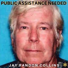 Lisa Stritzel's Instagram, Twitter & Facebook