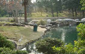 Kenneth hahn state recreation area was named after local politician and civil rights supporter, kenneth hahn. 3rd Saturday Bird Walk At Kenneth Hahn State Recreation Area This Is Confirmed Los Angeles Audubon Society
