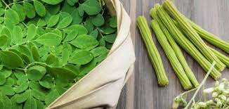 فوائد شجرة المورينجا عديدة منها للجهاز التنفسي والشعر والتخسيس معلومة