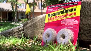 There are numerous products available that effectively eliminate mosquito larvae while being safe for plants. Learn How To Combat Those Pesky Mosquito S And Keep Them Away From You And Your Pond Hoffman S Water X Scapes