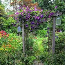 Learn how to build an arch in your garden with our diy guy, andrew.view products and shop online with builders. How To Build An Inexpensive Garden Arbor