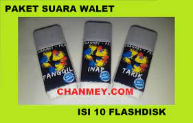 Paket 10 Flashdisk Suara Panggil Tarik Dan Inap Burung Walet Pajero Original Lazada Indonesia